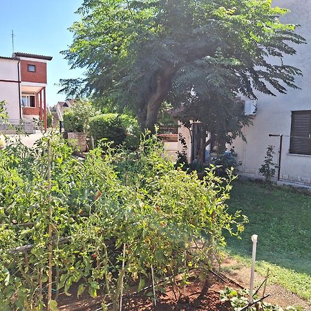 Apartments Reinic Novigrad Istria Esterno foto