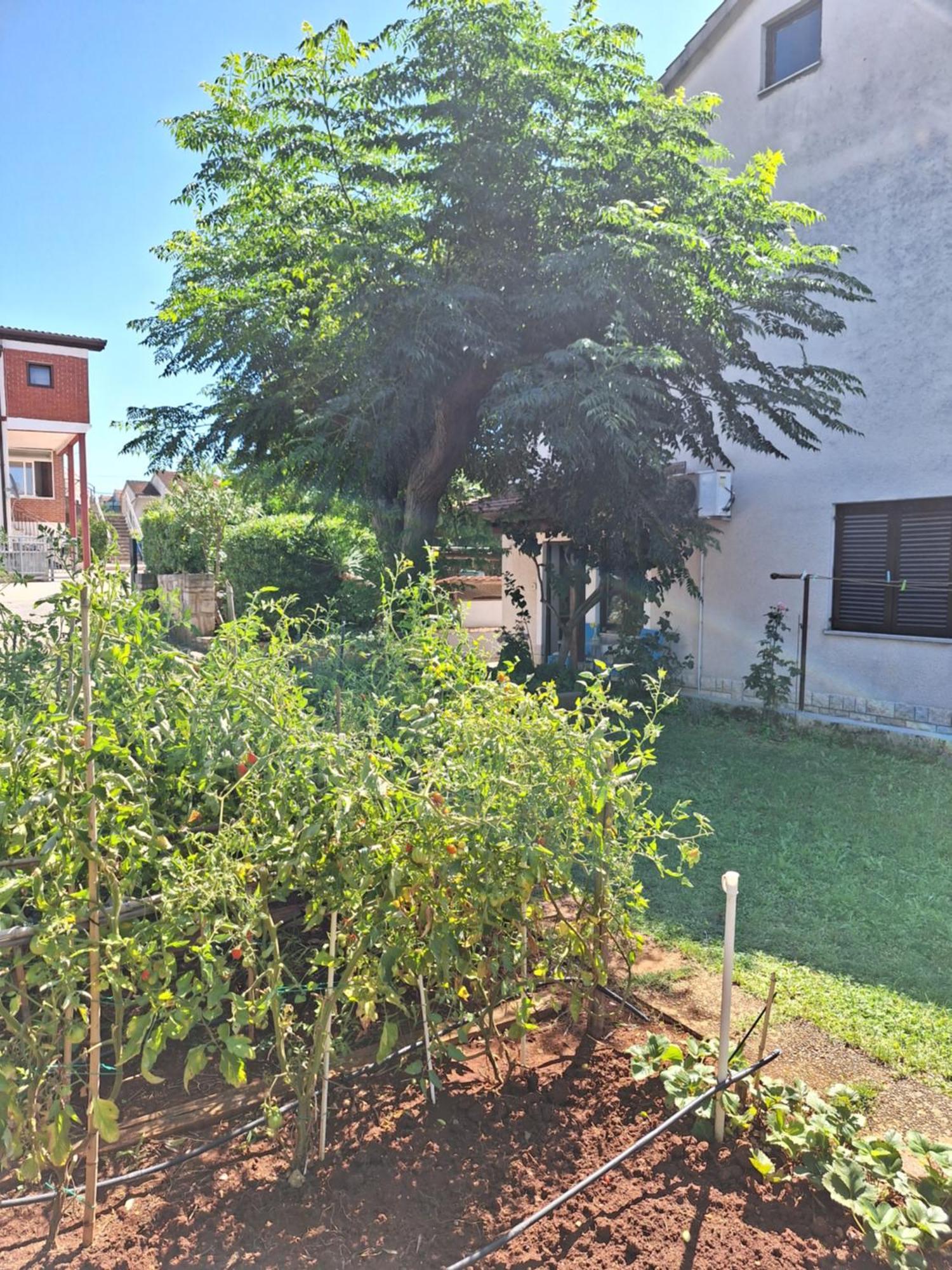 Apartments Reinic Novigrad Istria Esterno foto